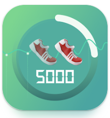 Pedometer
